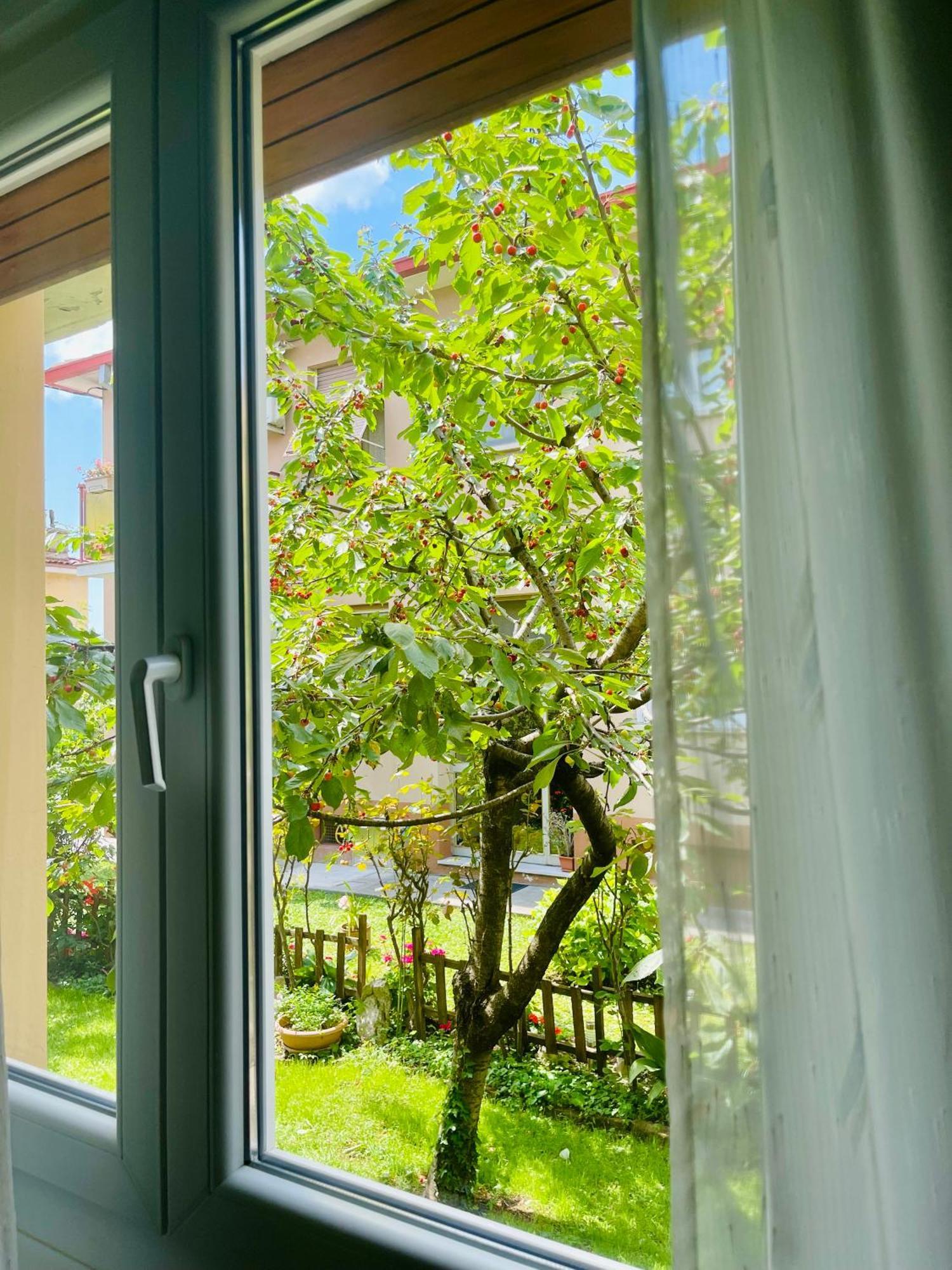 Appartement Le Rose à Trieste Extérieur photo